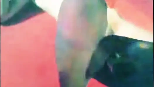 Bottle & Pussy
