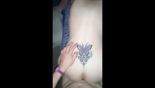 Akşam Seksi Kelebeği