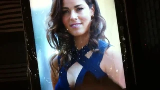 Ana Ivanovic boşalıyor