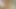Teenmegaworld -beauty4k- dostum uzun vadeli hayalini gerçekleştiriyor
