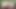 busty tranny içinde iç çamaşırı