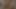 Benim dik şişman bbw eski gf sevilen binicilik benim horoz her gün