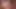 Yaşlı ve genç seksi sarışın minyon kıllı amcık yalıyor