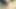 Çıplak seksi ateşli 🥵? Hintli kız amcığını parmaklıyor