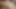 Bir öpücük ve seks oyuncakları asyalı için bir Creampie'ye yol açar