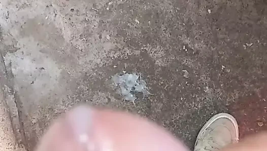 biraz yardıma ihtiyacım var