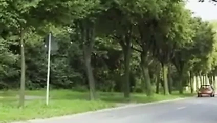 arabanı ve kıçını seviyorum