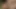 Siyah fileli travesti götünü yağlatıyor ve sikiyor