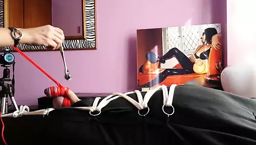 Bondage Genital