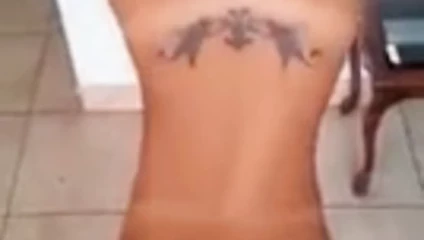 amatör kedi