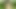 Jackie stevens vahşi kedi olarak çıplak