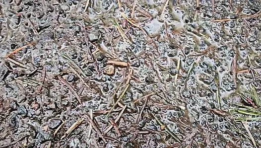 Yağmurlu Bir Günde Yürüyüş-n-sidik