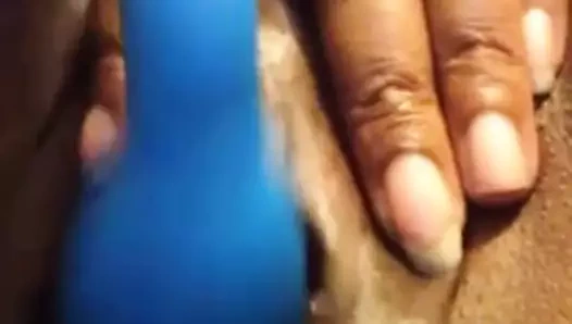 Phat kedi fışkırtma