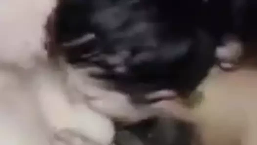 Bir bbc için deli olan iki kız