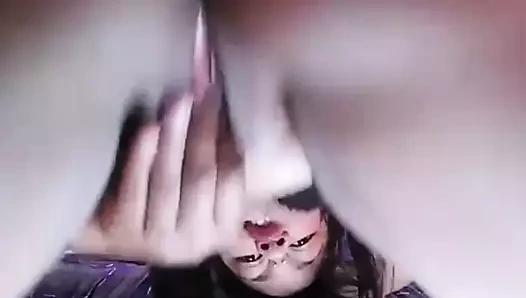 Renkli şişman kedi oyun