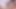Virtualrealporn.com - tehlikeli eğriler