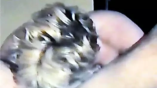 afondlaforme