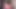 Trans kız dildo emiyor ve mastürbasyon yapıyor
