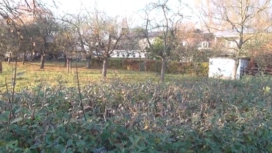 amatör açık alman babi