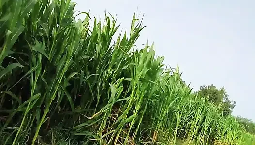 Ateşli üçlü grup seks açık havada sert sikişiyor