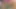 Twistys - üniversiteli kız Kortney Kane tek başına eğleniyor