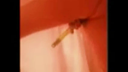 Arielle oynama ile ona kedi içinde the duş