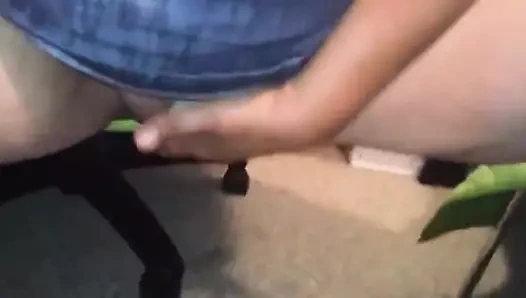 Şişman oyuncak içinde kedi