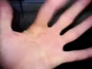 karavanda Ayrshire üçlü