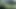 Seksin bin tonu! (tam film-hd versiyonu)