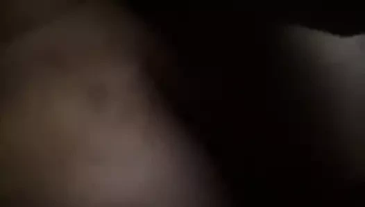 Büyük göt, iyi kedi