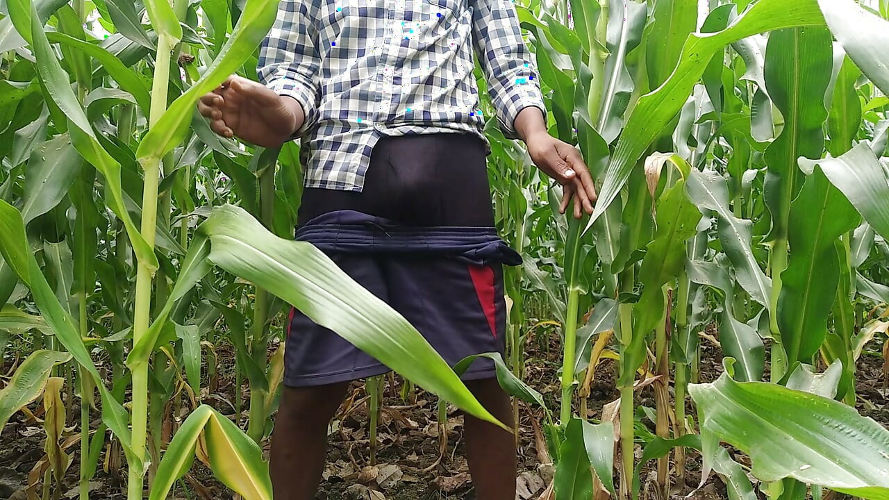 Khet me le Jake ladki ko choda