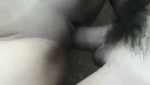 Şehvetli esmer hatun sahilde hunk'un aletine biniyor