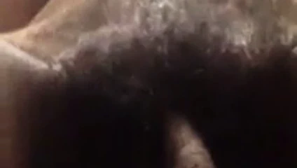 Siyah kedi hızlı dokunuş (2 almak)