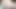kıllı avustralya KEDİ parmak ve POV