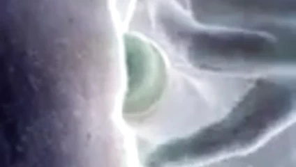 elektro yakın çekim