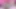 Ateşli genç sürtük kıyafetlerini çıkarıyor ve pembe meme uçlarını ve amını gösteriyor