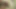 Olgun orta yaşlı seksi kadın reiko kobayakawa vibratörle orgazm olduktan sonra ateşli yüze boşalma alıyor
