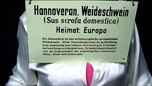 Meister - T - Frau Weideschwein