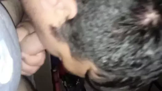Mi novio
