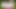 Phat eşek cali carter derin anal seviyor - gerçeklik kralları
