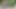 Reality kings - seksi orta yaşlı seksi kadın Anna Polina kullanılmış bir prezervatif buluyor ve sonra yarağına sahip olan erkeğini gösteriyor
