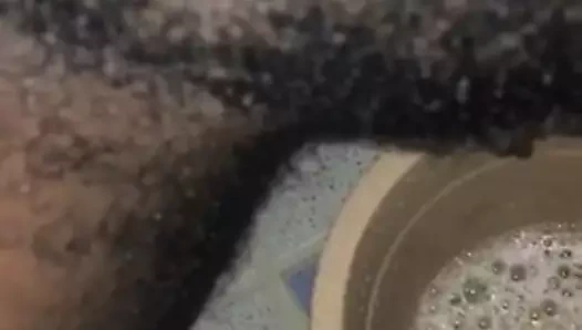 Tatlı kıllı kedi pissing