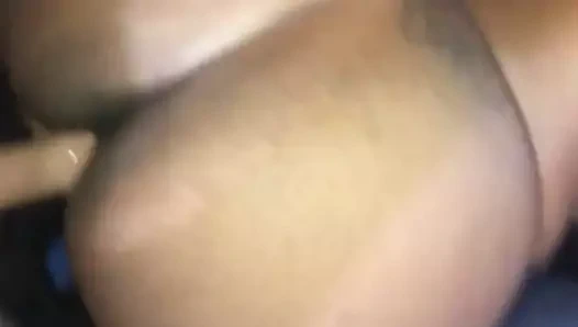 Siyah Kolombiyalı domalma