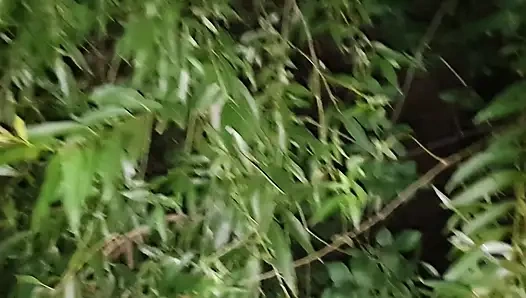 Rosalina Love Ile Parkta Seks