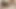 Seksi adam vahşi sevgilime inatçı bir kaşıklama veriyor