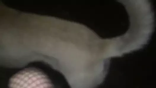 Çorapta köpek yavrusuyla oynamak