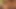 Sürtükler Katsuni ve Avenna Lee yarağı paylaşıyor