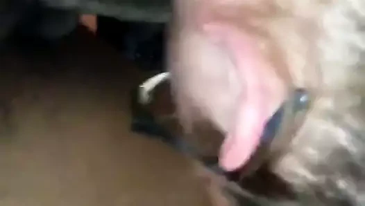 ırklararası oral seks