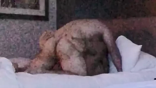 Hot Jap Ladyboy Cums Loud While I Pound Her Sweet Asshole