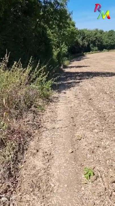 M4 yakınlarında güneşlenirken... Yoldan geçen araçlar beni görebilirdi! | Klip 1